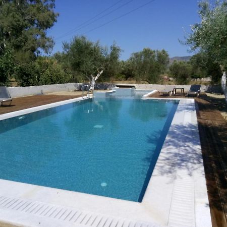 Villa Penelope Kalpaki  Exteriör bild